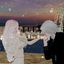 Guest_HoniriKamoto