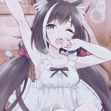 Guest_Bella215299