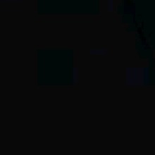 Guest_CRTN5
