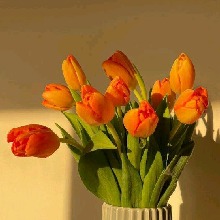 Guest_Luluh7081