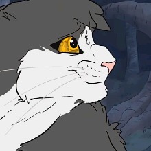 Guest_SunflowerBunnie1
