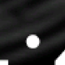 Guest_Lu144862