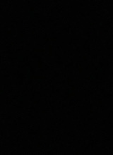 Guest_Jacob862083