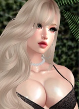 Guest_lia222719