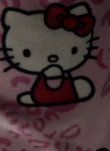 Guest_Ashley265618