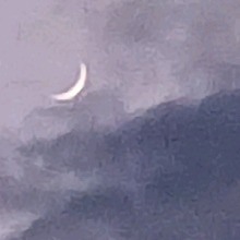 Guest_EverlySapphireGrace