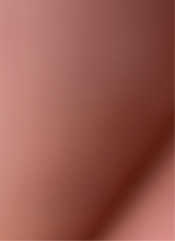 Guest_L428089
