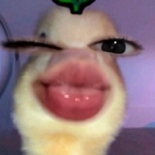 Guest_hrhrjkn444