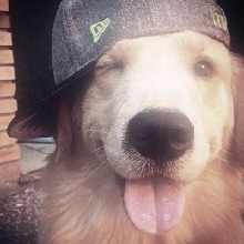 Guest_LauriSouza