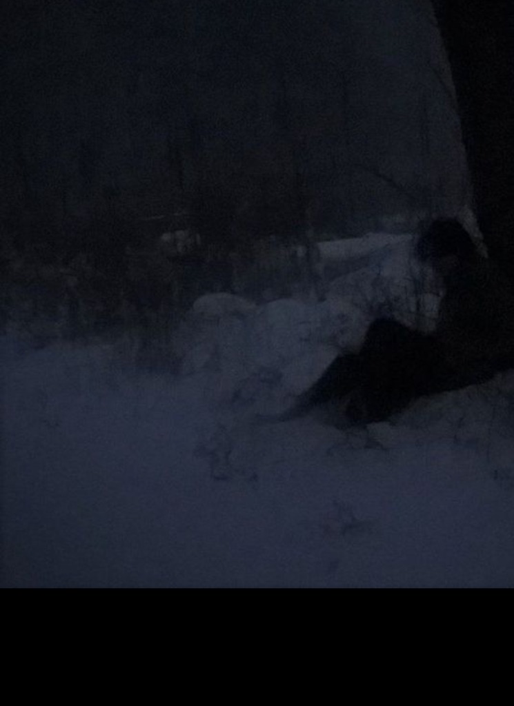 Guest_deathbountiful