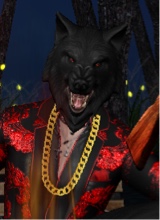 Guest_Wolfy49