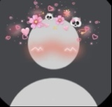 Guest_pam422038