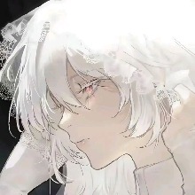 Guest_Ryuu240111