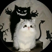 Guest_emmashusband