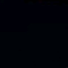 Guest_Ariana671506