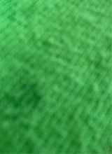 Guest_Lacii8