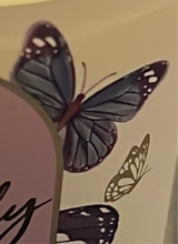Vibez2680