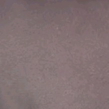Guest_SimJi8