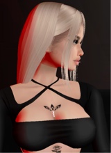 Guest_Sierra989741