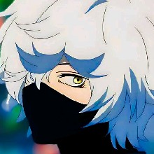 Guest_Kira417734