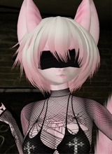 immagine avatar