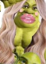 ShyPrincess1