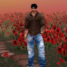 Guest_Carlos516373