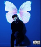 Guest_theresilientpheonix