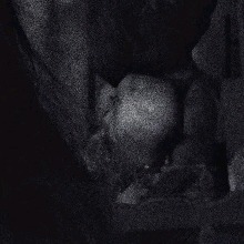 Guest_TuPerrita49