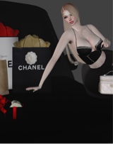 Guest_Ari6661