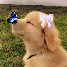 Guest_Riley769397