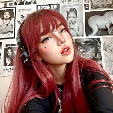 Guest_Niaxi