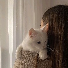 Guest_PrensesKizi