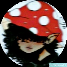 Guest_Alison406241