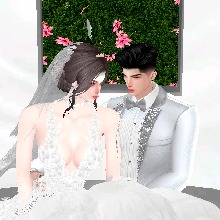 Nay822500