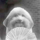 Guest_AJTHATSON
