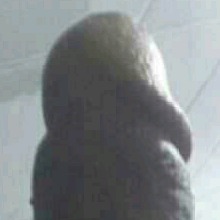 Guest_thebooss