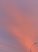 Guest_ccldsom19