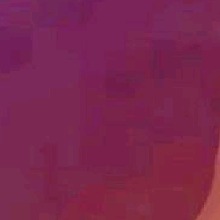 Guest_Lena481033