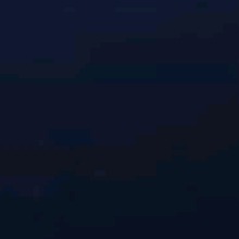 Guest_Budyene876
