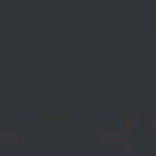 Guest_Xandre