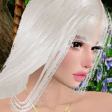 Guest_AkiraMoki