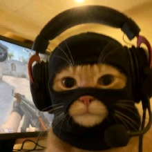 Guest_bautistaprado
