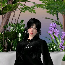 avpic
