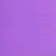 Guest_itsTina18