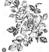 Guest_Ashley991502