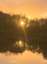 Guest_Rhi113149