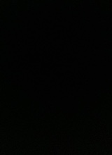 Guest_Jacob324762