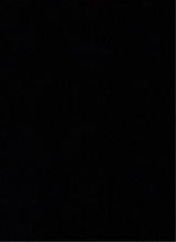 Guest_reynaaa9