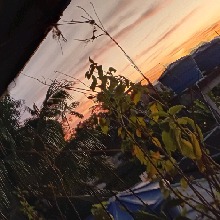 Guest_MAGALY105458